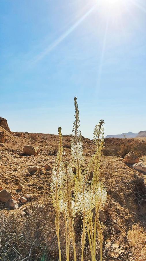 Shoshanat Hamidbar Midreshet Ben Gurion Exterior photo